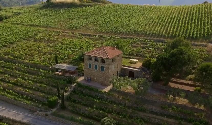 Terre Bianche 