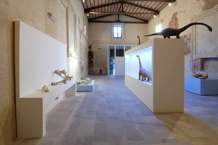 Mostra Permanente di Paleontologia