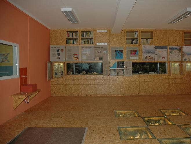 Museo Paleontologico S. Lai