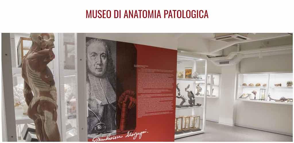 Museo dell'Istituto di Anatomia Patologica