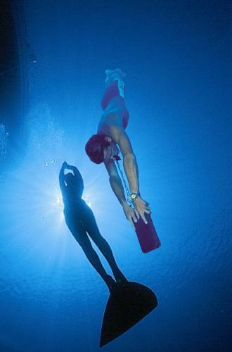 Bluenose, Diving & Surroundings