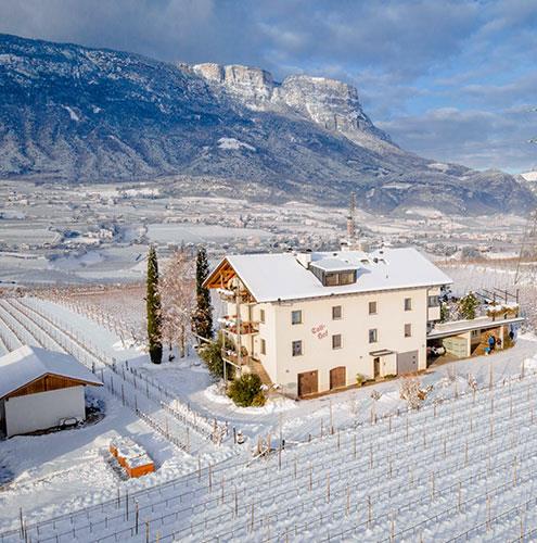 Appartamenti Cornaiano - Tollhof