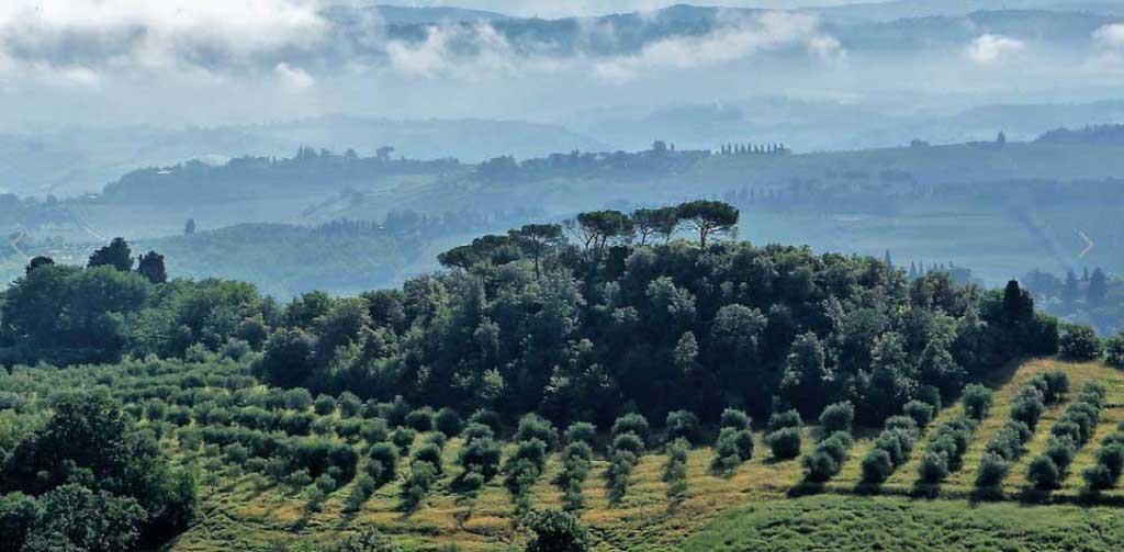 Di Chiano Marco