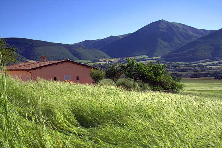 Agriturismo La Cascina di Opaco