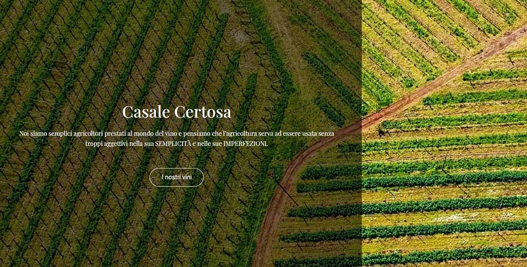 Az Agricola La Certosa Di Cosmi Antonio