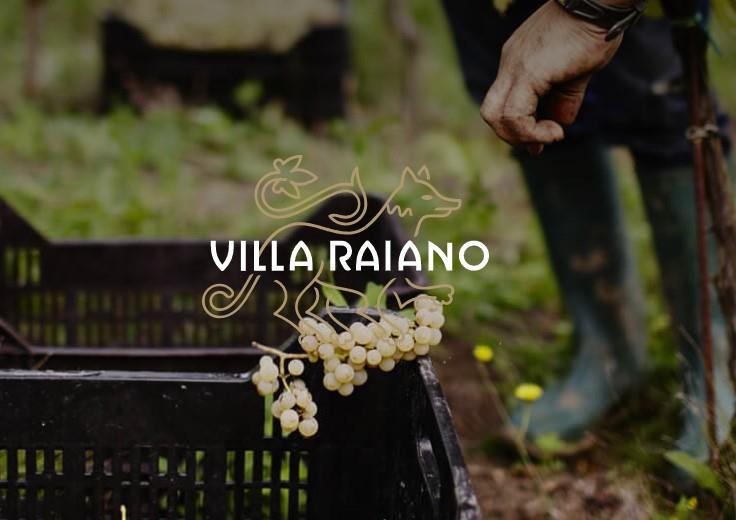 Villa Raiano Srl