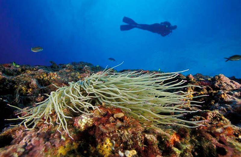 Diving Center Capo Galera