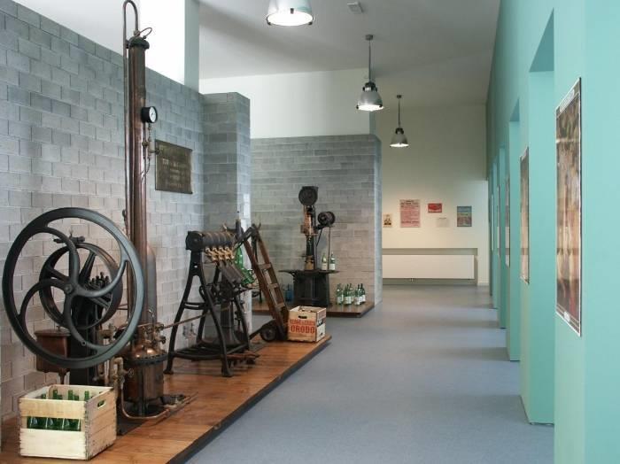 Museo di Scienze della Terra U. Baroli