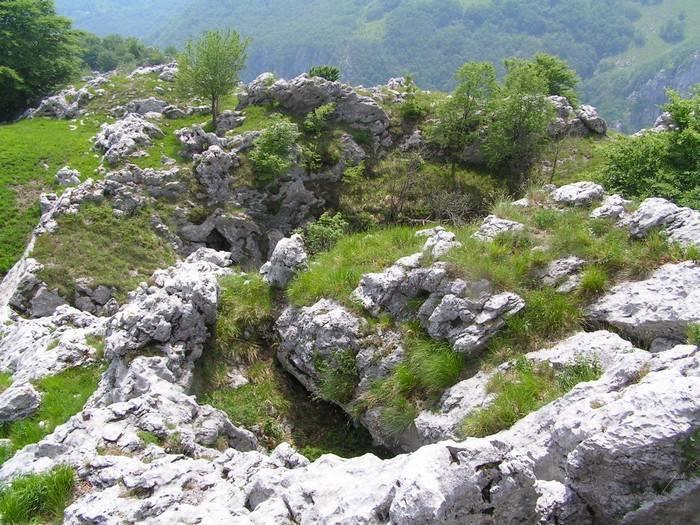 Museo Storico della Linea Gotica