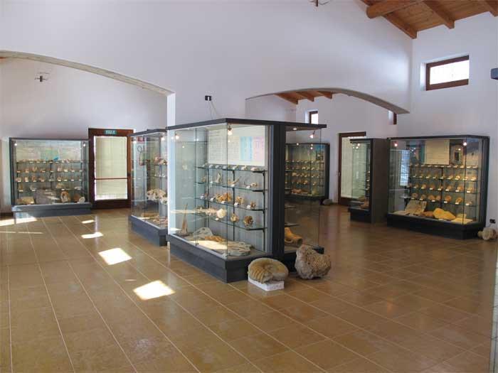 Museo Geopaleontologico dei Fossili della Lessinia
