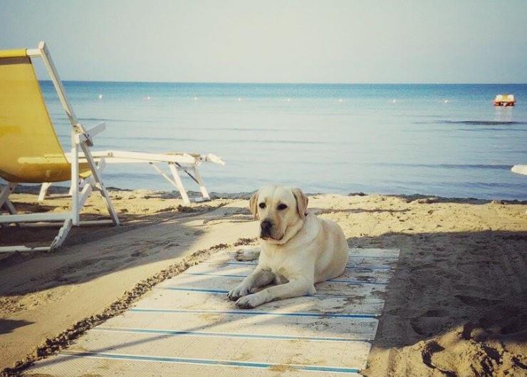 Bagno La Conchiglia