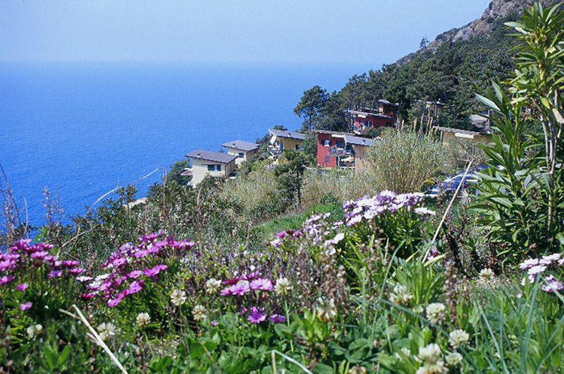 Bosco e Spiaggia del Villaggio la Francesca