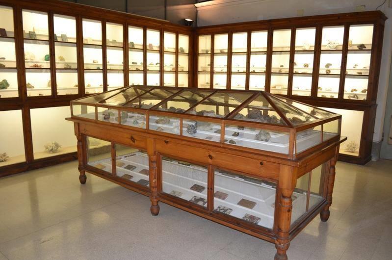 Museo Civico di Storia Naturale del Liceo Classico 