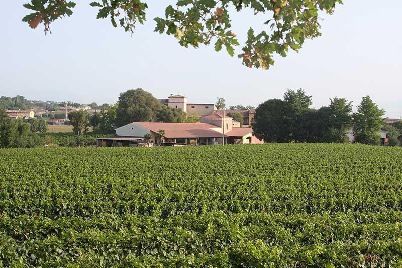 Cantina Gozzi