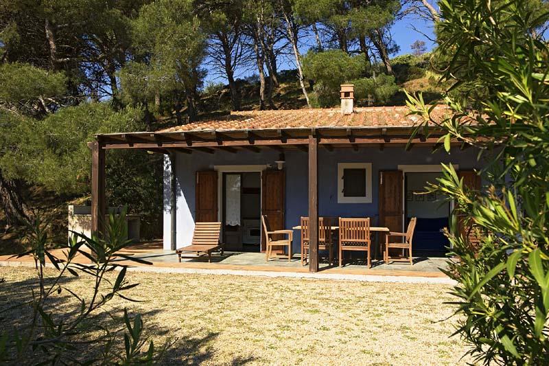 Tenuta delle Ripalte