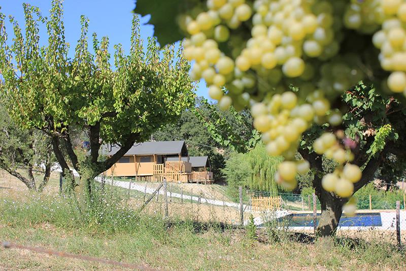 Tenuta Coste da Sole