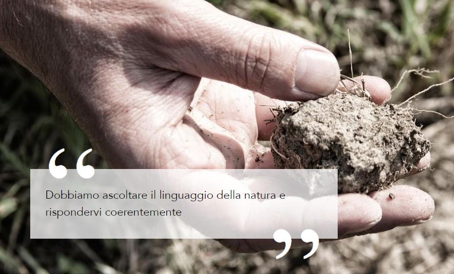 Bava Azienda Vitivinicola