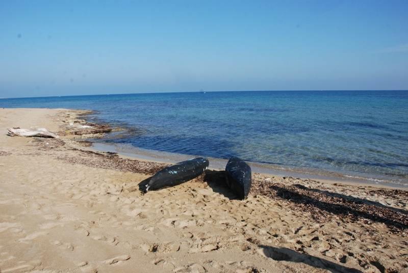 Spiaggia Torre Veneri
