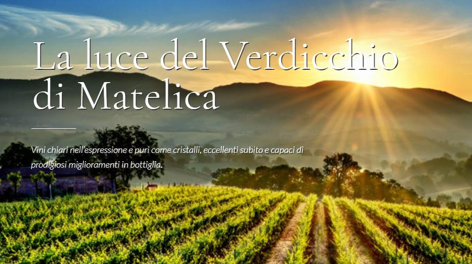 Azienda Vitivinicola ColleStefano di Fabio Marchionni