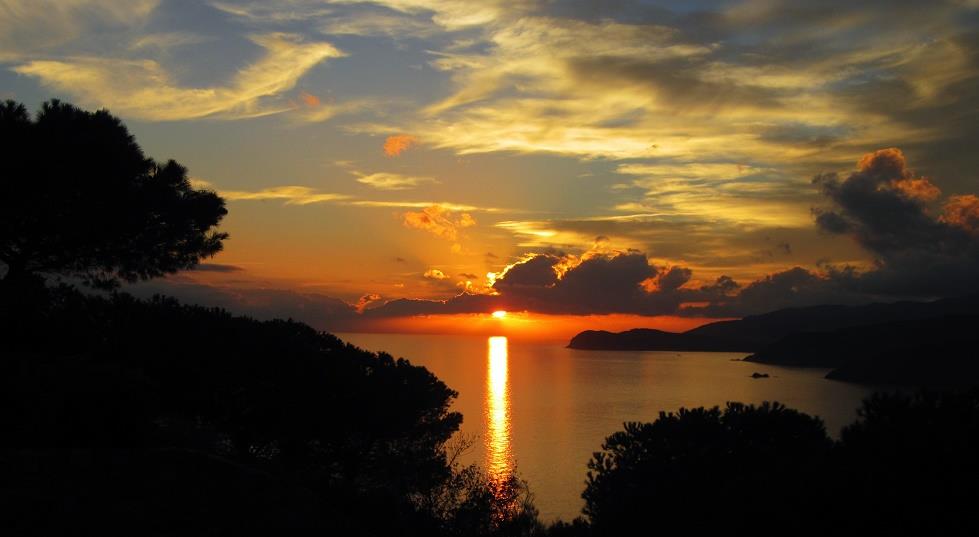 Appartamenti Elba Serena