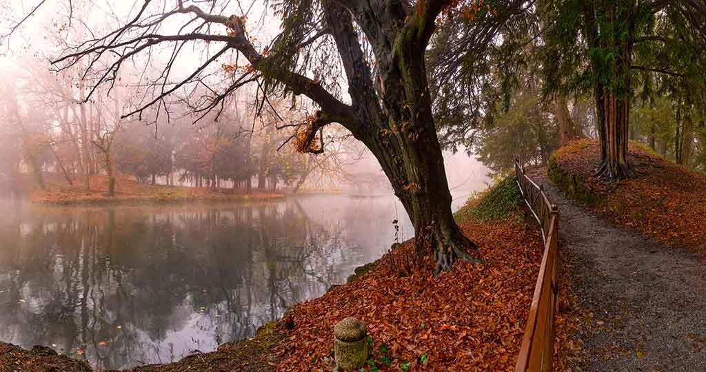 Parco di Monza