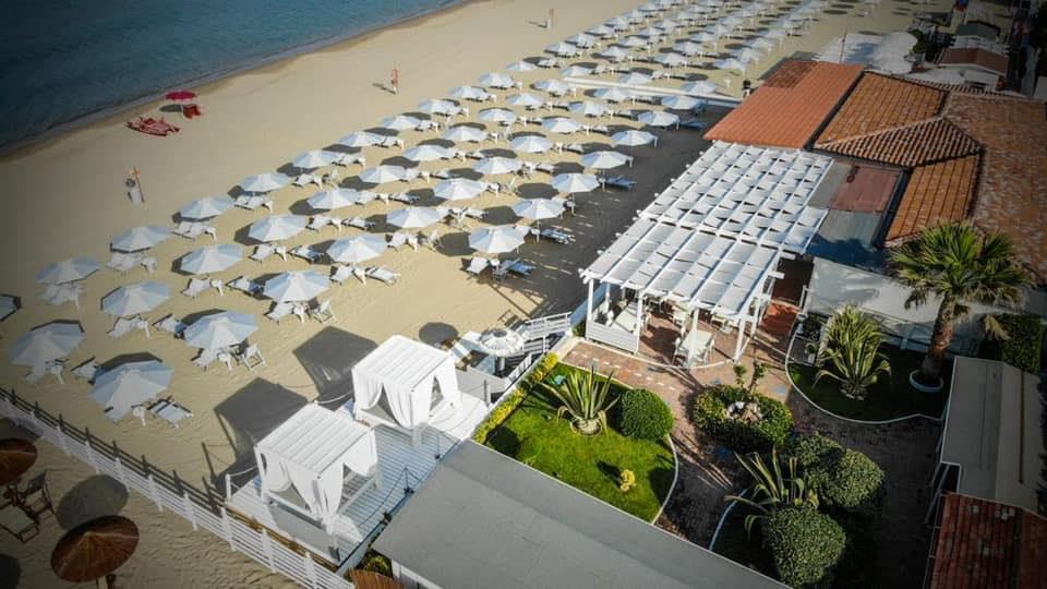 Le Palme