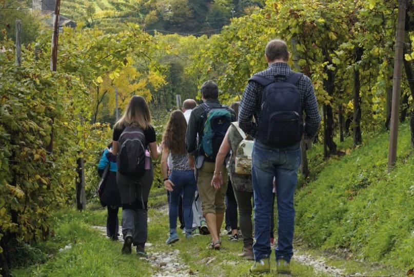 Azienda Agricola Andreola di Pola Stefano