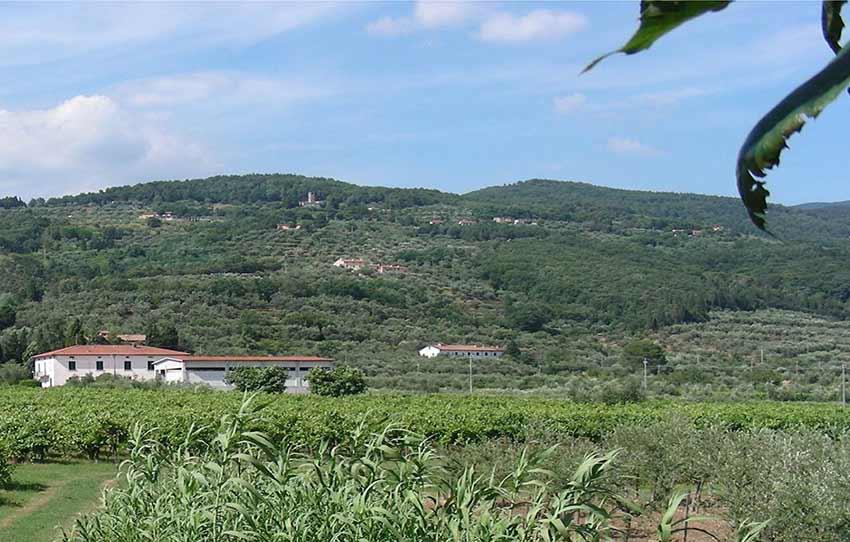 Azienda Agricola Marini Giuseppe