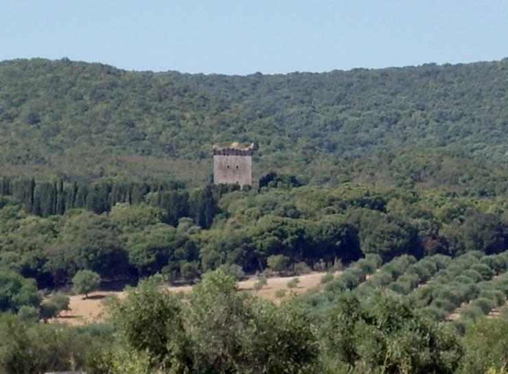 Torre Bassa