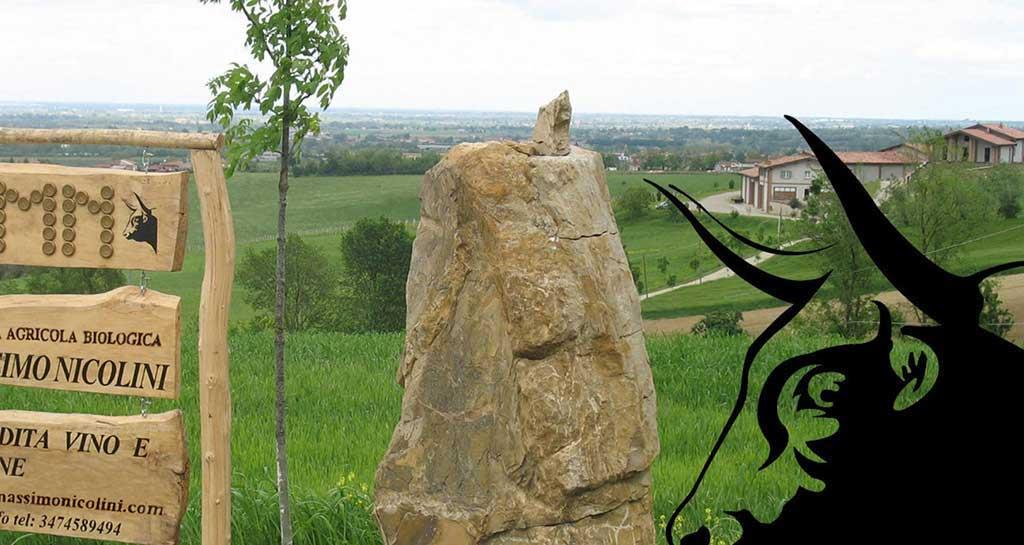 Azienda Agricola Massimo Nicolini