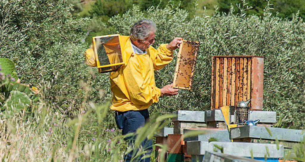 Le delizie di Bergi - Vendita prodotti biologici
