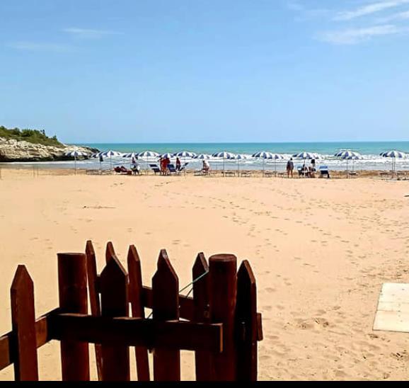 Lido Delfino 