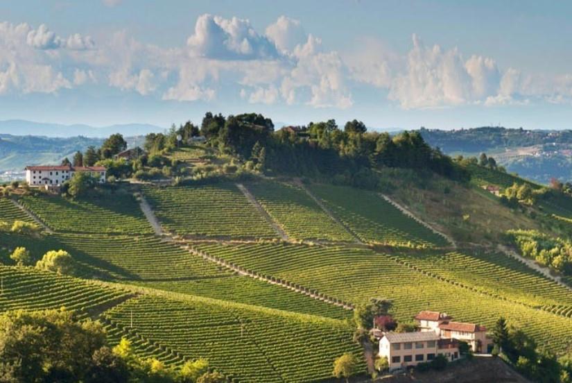 Giacosa Fratelli Snc