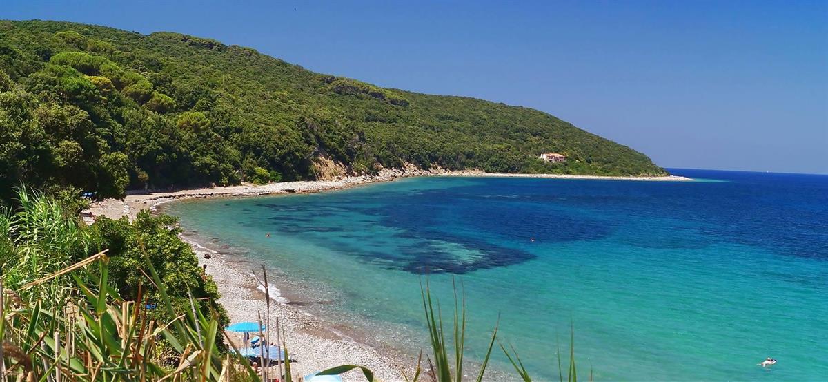 Elbadoc Camping Village