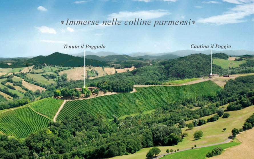 Tenuta Il Poggiolo Srl