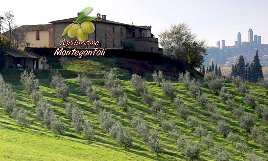 Agriturismo Montegonfoli S.R.L.