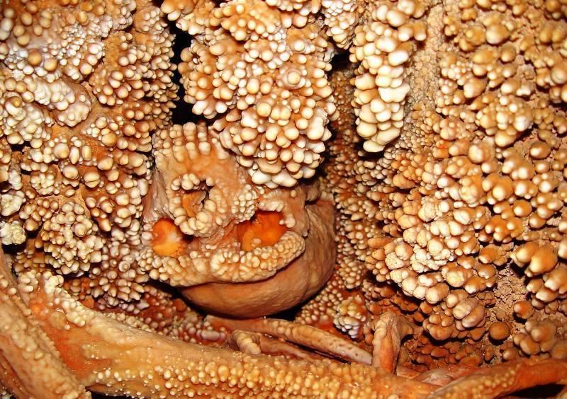 La Grotta di Lamalunga e l'Uomo di Altamura