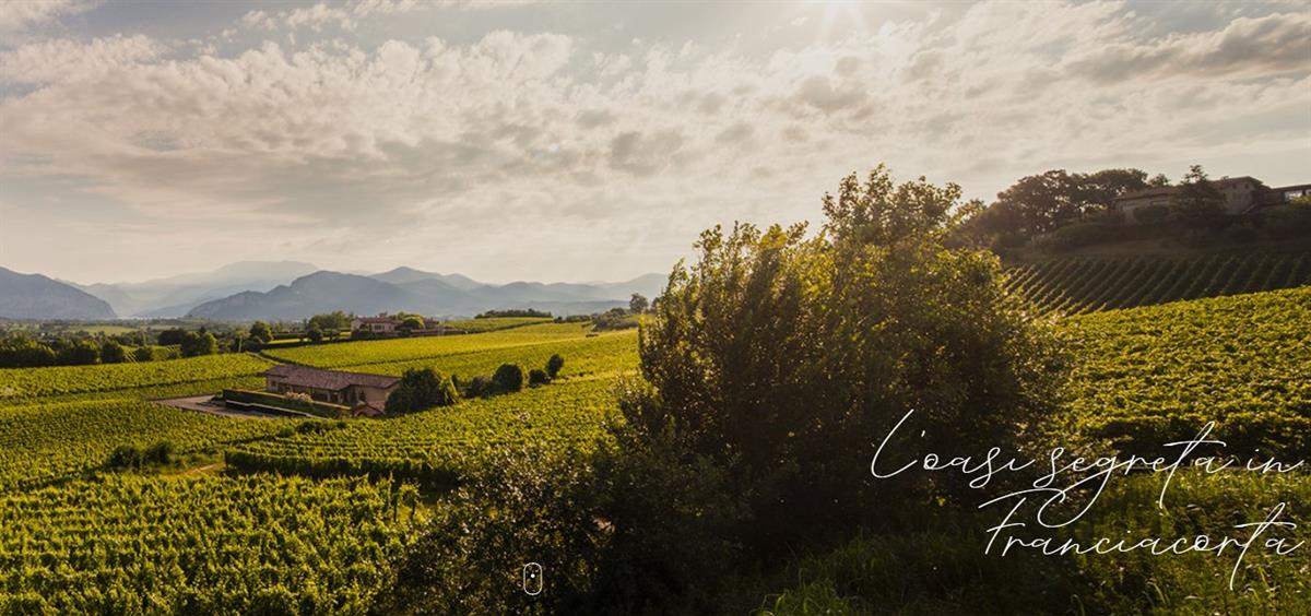 Azienda Agricola Ronco Calino