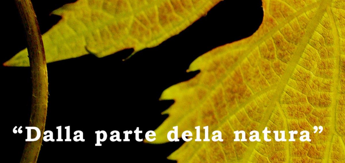 Cantina e Agriturismo Fiorano