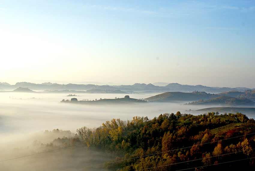 Vigna Angelo