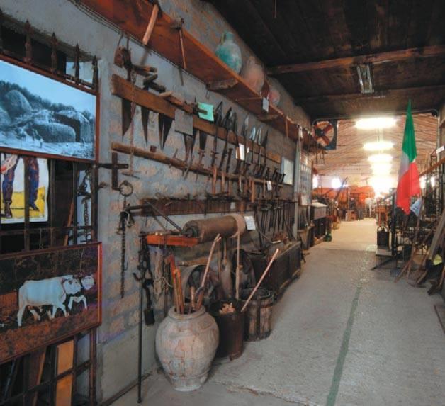 Museo della Civiltà Contadina