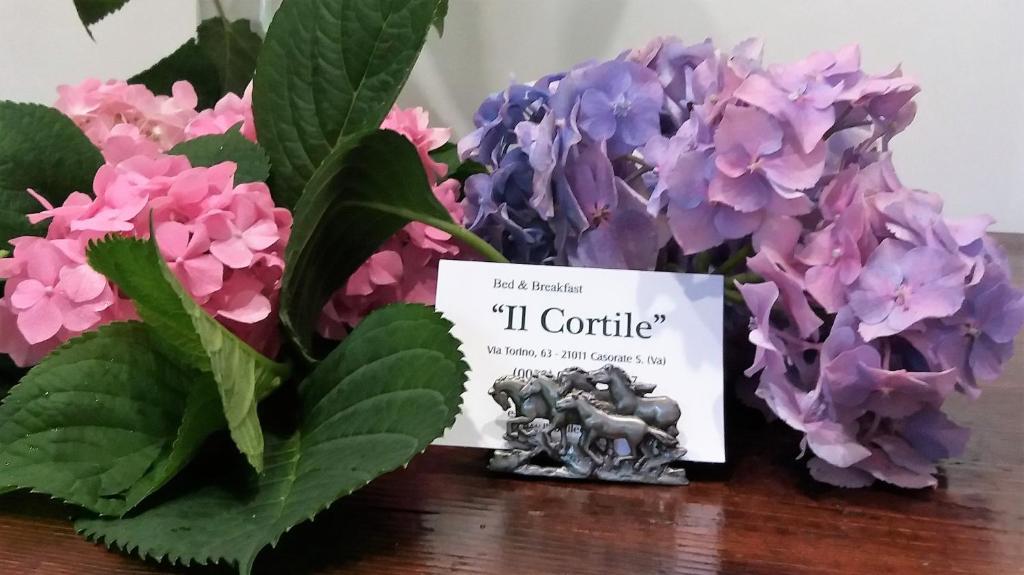B&B IL CORTILE MALPENSA