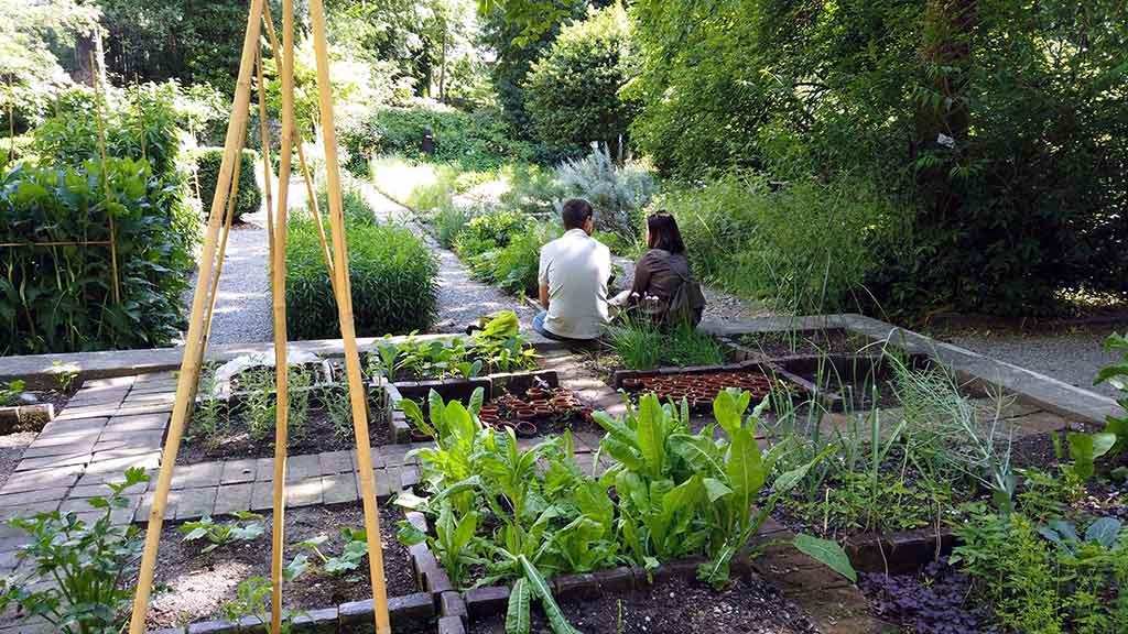 Orto Botanico Milano Brera