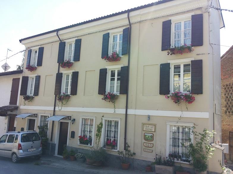 Tra Le Vigne