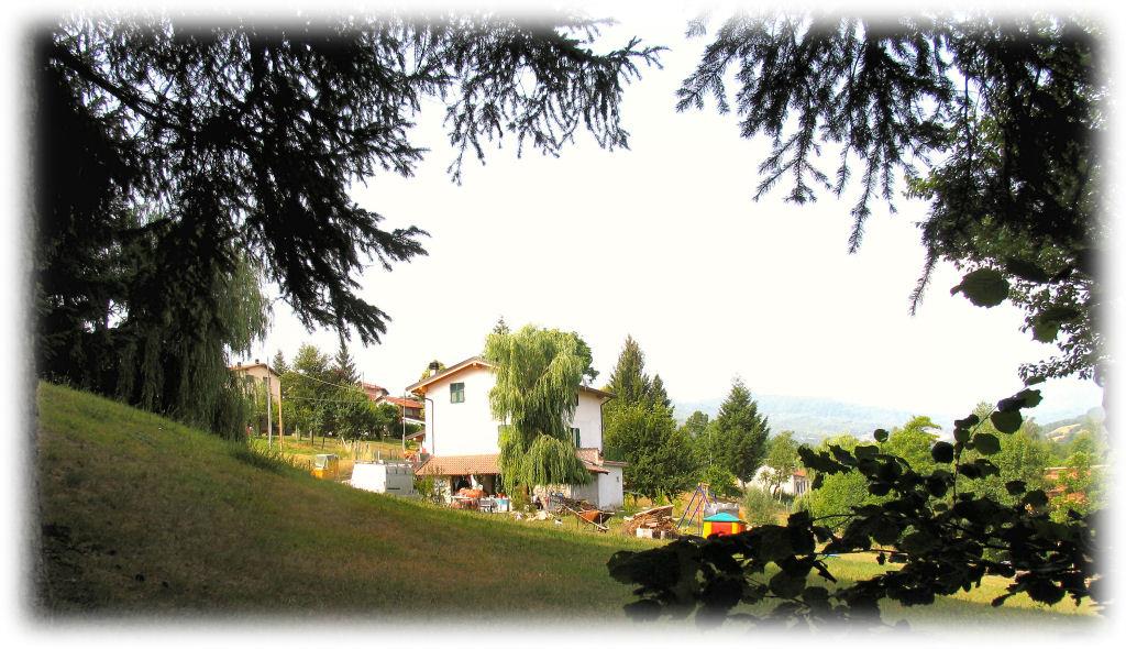 La Pineta