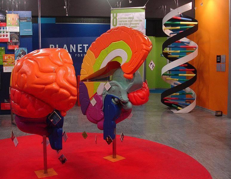 Science Centre Immaginario Scientifico