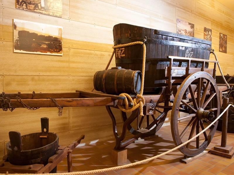 Museo del Vino