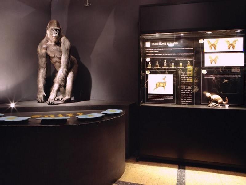 Museo Civico di Zoologia