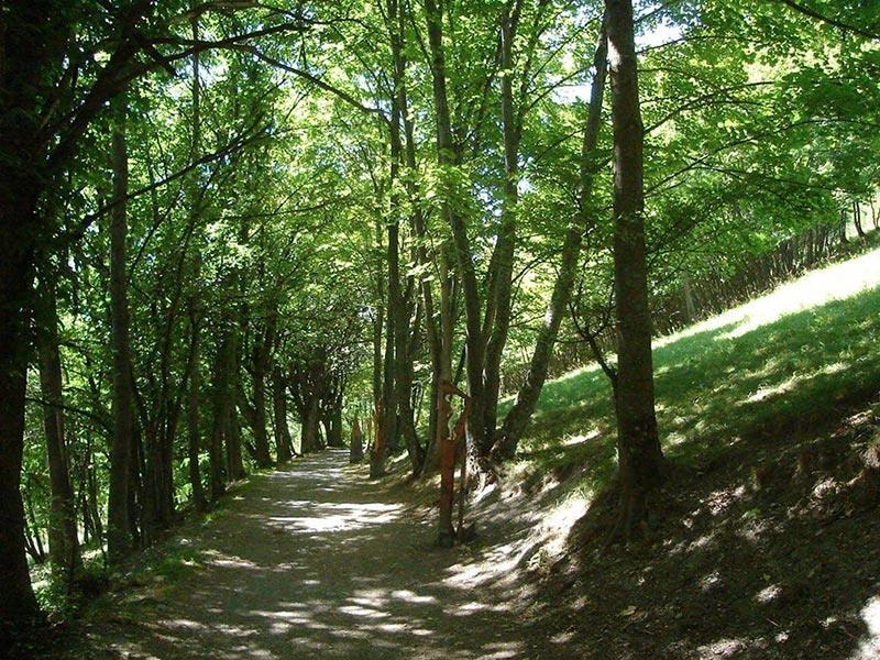 Passeggiata del Canale