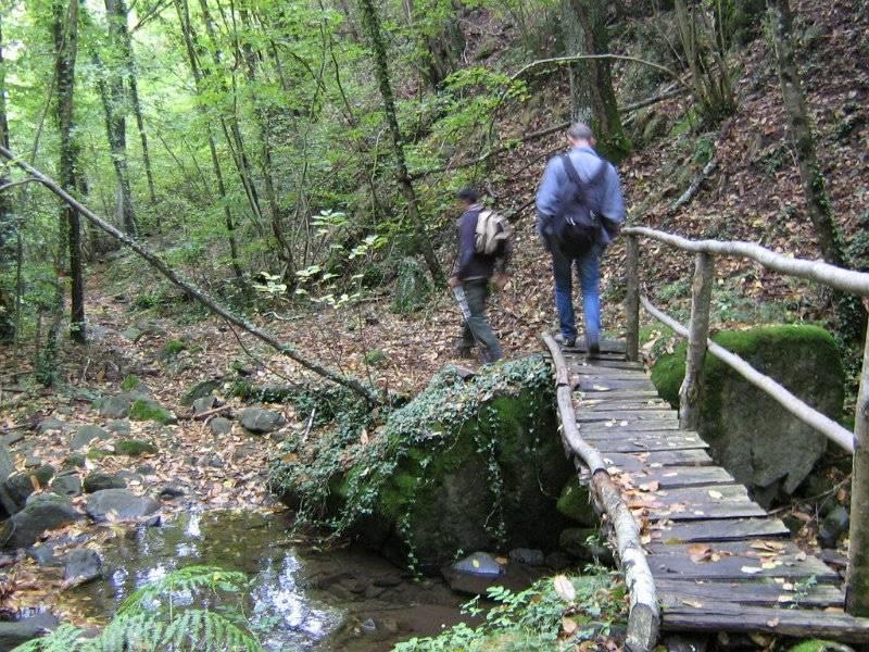 Foresta di Sant'Antonio